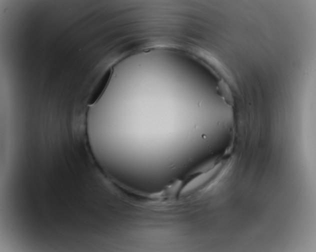 X0000091471185200709241300