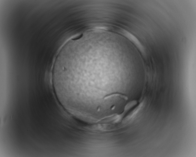 X0000091471194200709241300