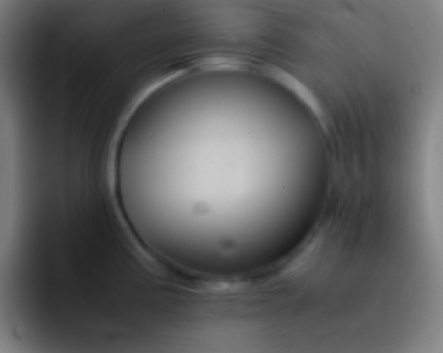 X0000091471195200709241300