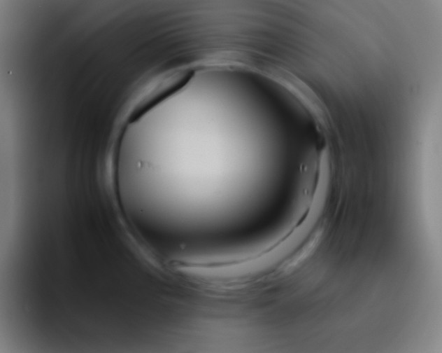 X0000091471196200709241300