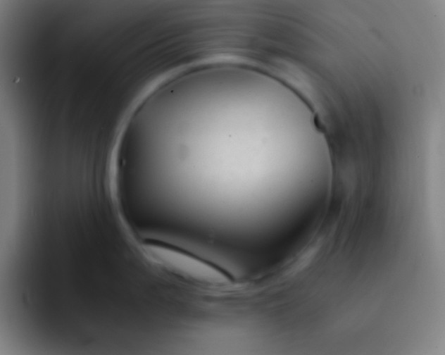 X0000091471199200709241300