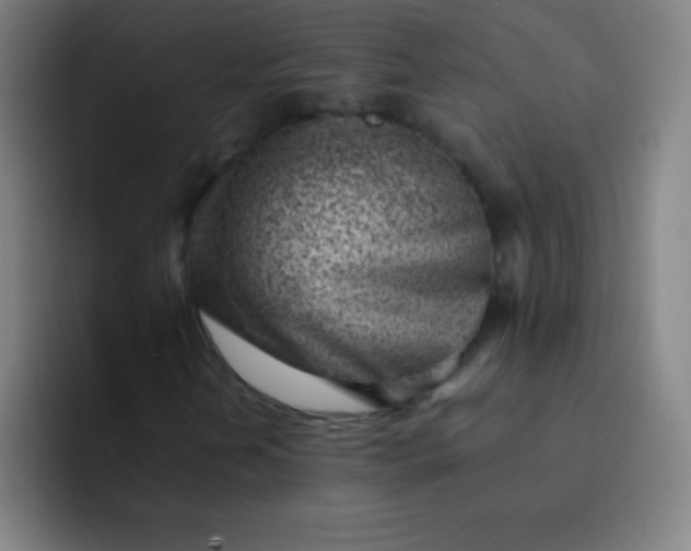 X0000091471202200709241259