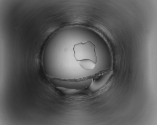 X0000091471210200709241259