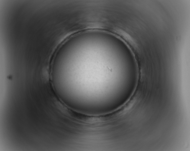 X0000091471212200709241259