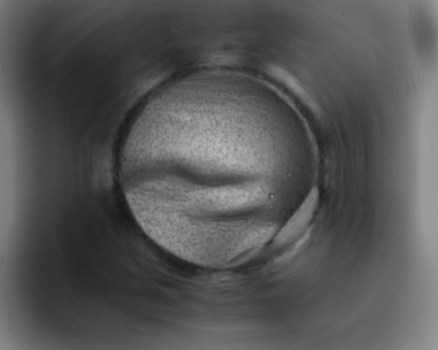 X0000091471213200709241259