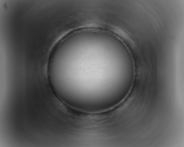 X0000091471216200709241259