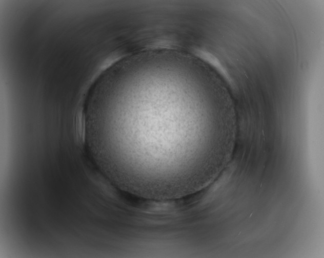 X0000091471219200709241259