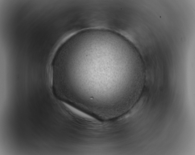 X0000091471223200709241259