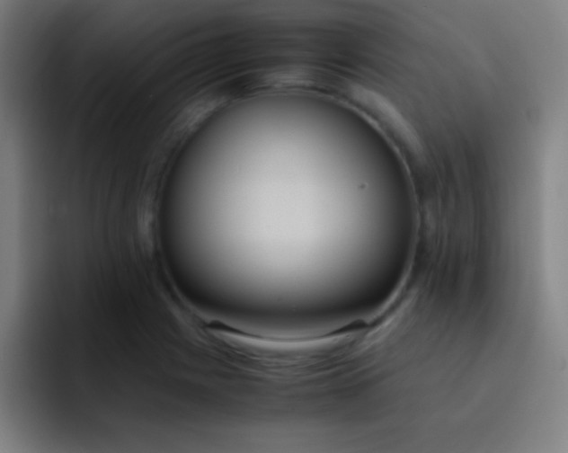 X0000091471225200709241259