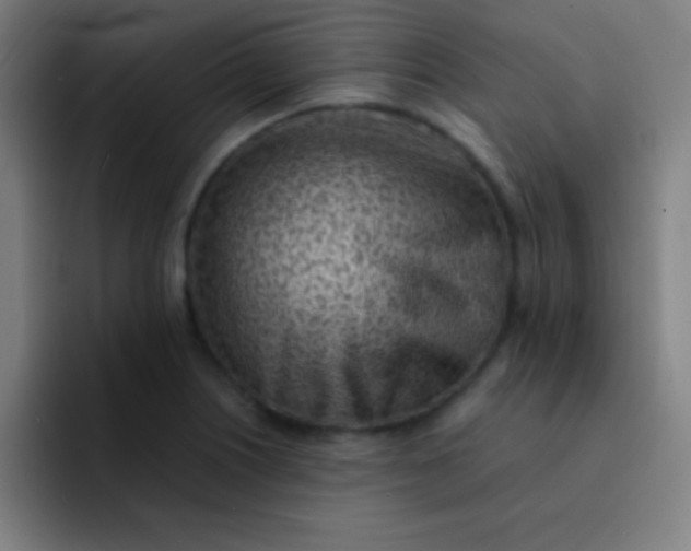 X0000091471226200709241259