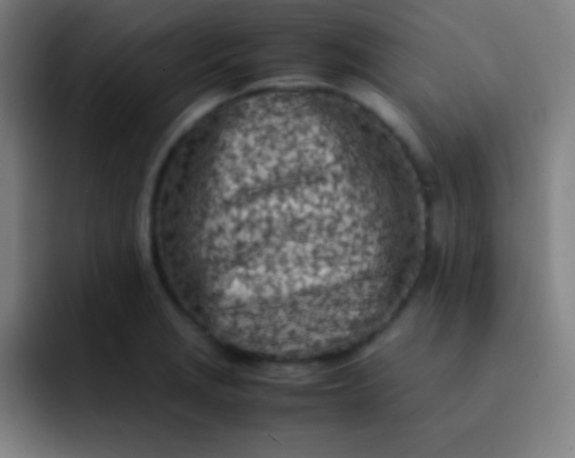 X0000091471229200709241259