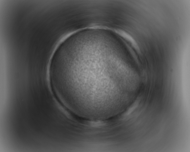 X0000091471231200709241259