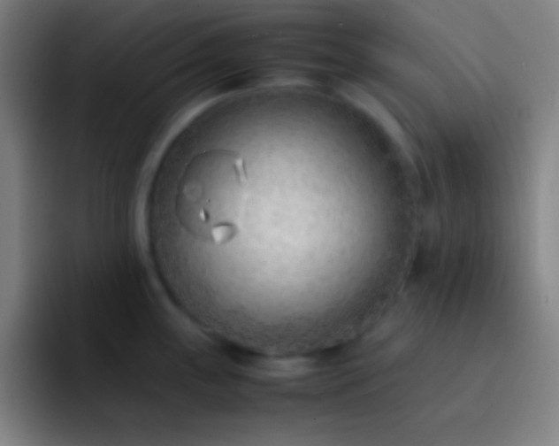 X0000091471243200709241300