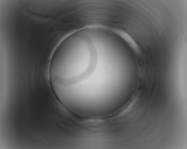 X0000091471244200709241300