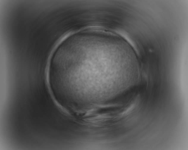 X0000091471245200709241300