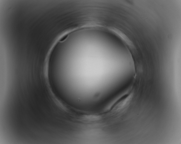 X0000091471246200709241300