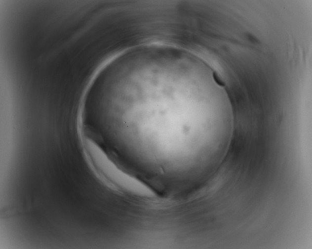 X0000091471247200709241300