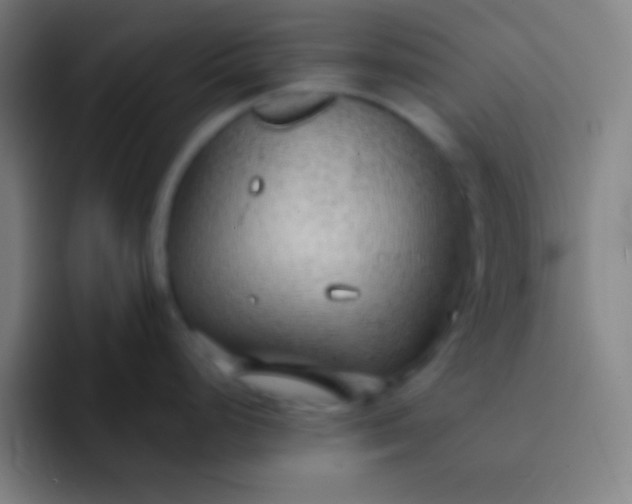 X0000091471248200709241300