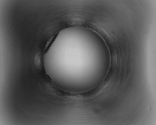 X0000091471250200709241259