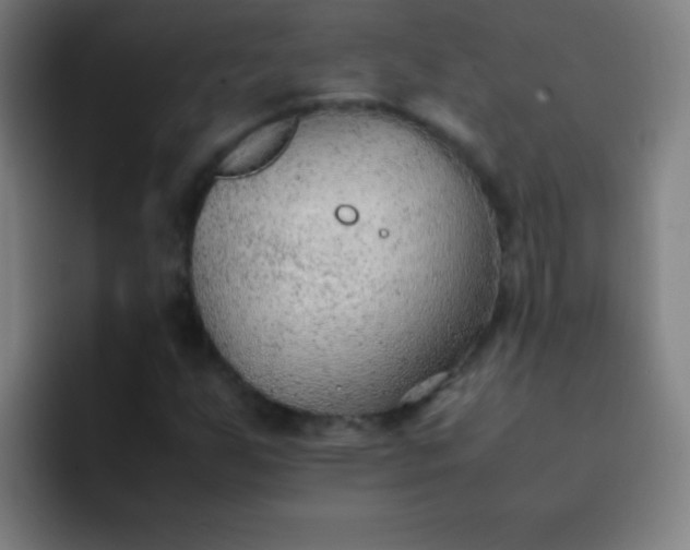 X0000091471255200709241259