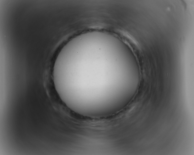 X0000091471256200709241259