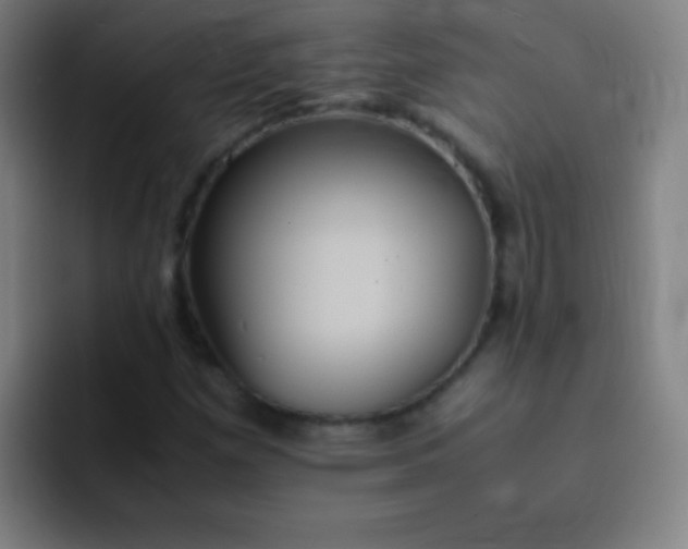 X0000091471257200709241259