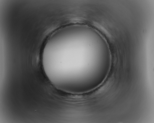 X0000091471261200709241259