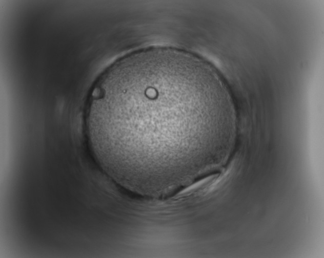 X0000091471263200709241259