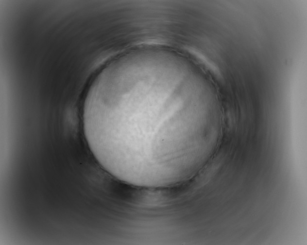 X0000091471266200709241259