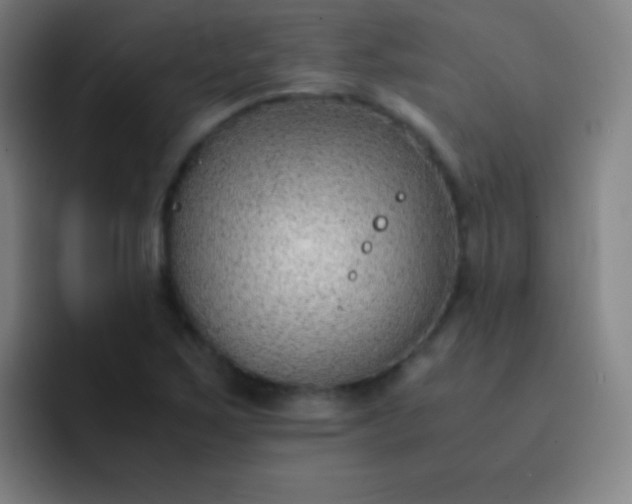 X0000091471267200709241259