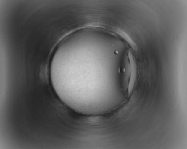 X0000091471268200709241259