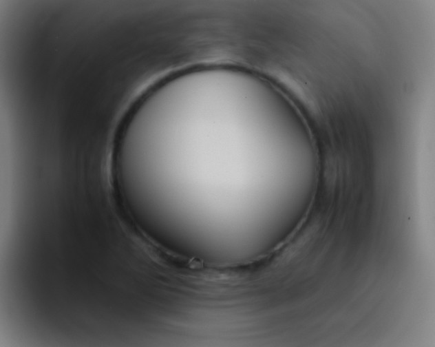 X0000091471270200709241259