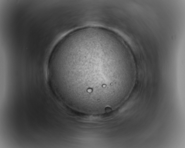 X0000091471271200709241259