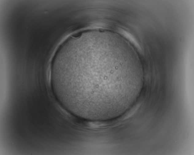 X0000091471275200709241259