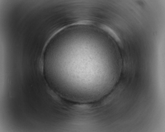 X0000091471276200709241259