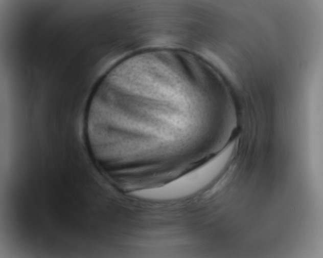 X0000091471277200709241259