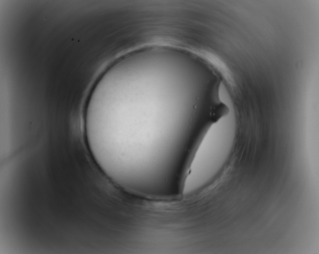 X0000091471280200709241259