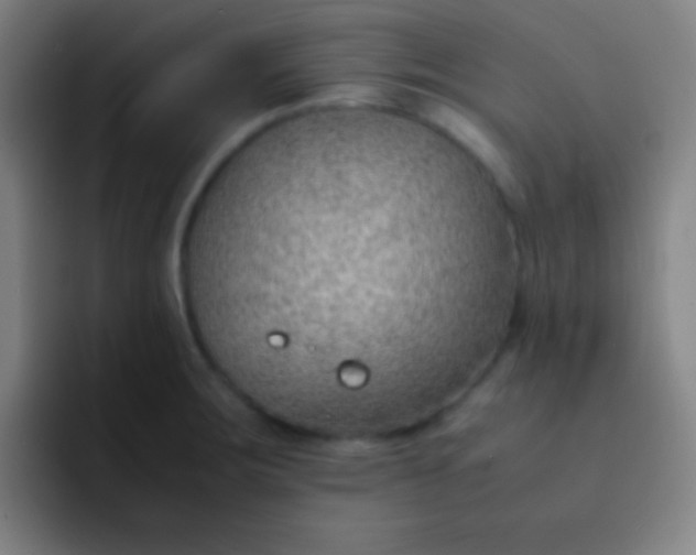 X0000091471283200709241259