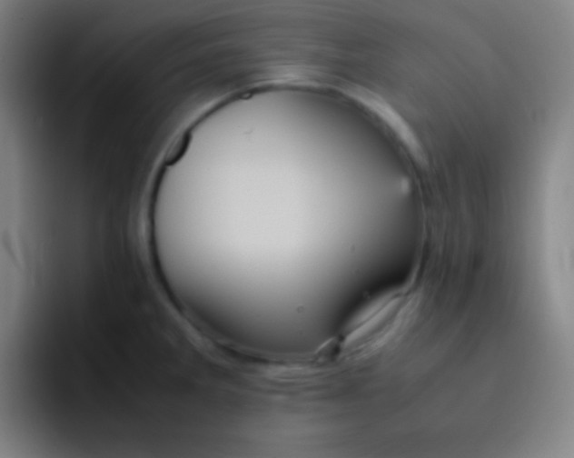 X0000091471285200709241259