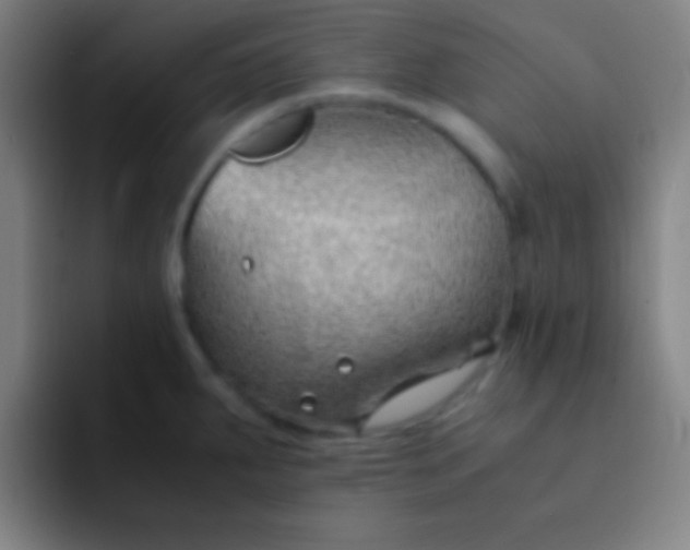 X0000091471287200709241259