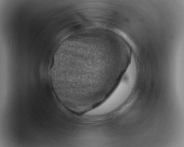 X0000091471289200709241259