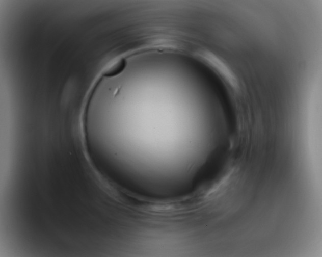 X0000091471291200709241259