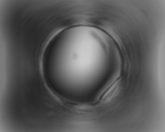 X0000091471293200709241258