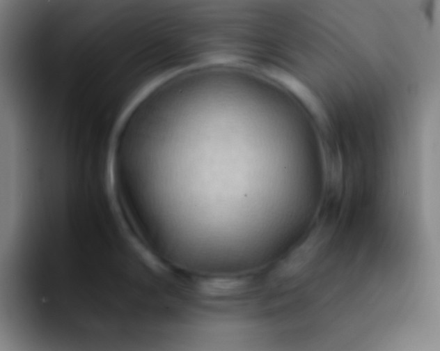 X0000091471294200709241258