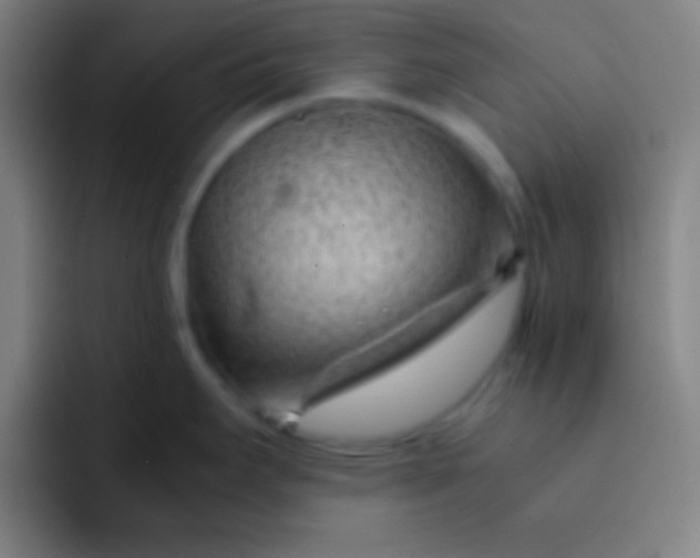 X0000091471295200709241258