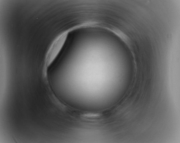 X0000091471296200709241258