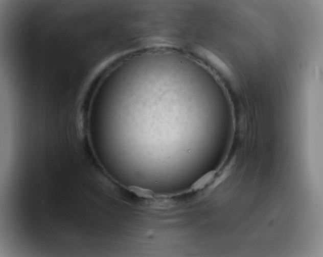 X0000091471310200709241258