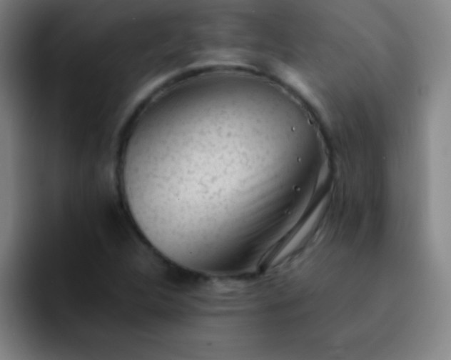 X0000091471312200709241258