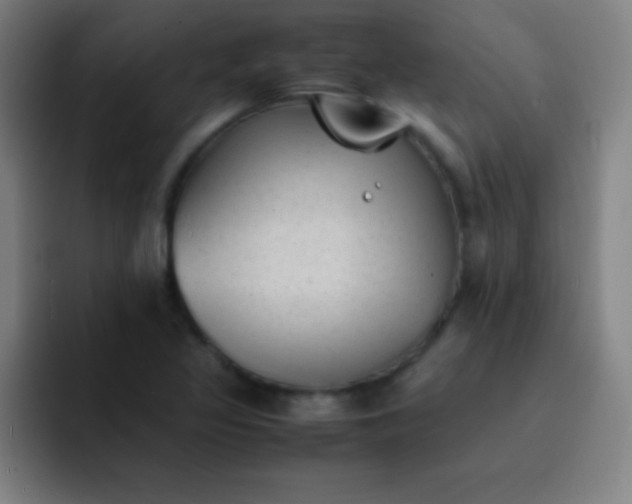 X0000091471317200709241258