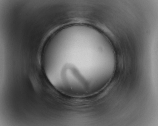 X0000091471318200709241258